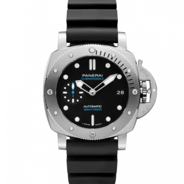 PAM00973