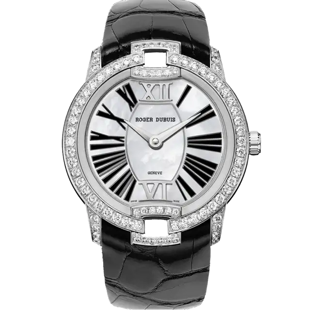 Velvet White Gold -Black Alligator Strap